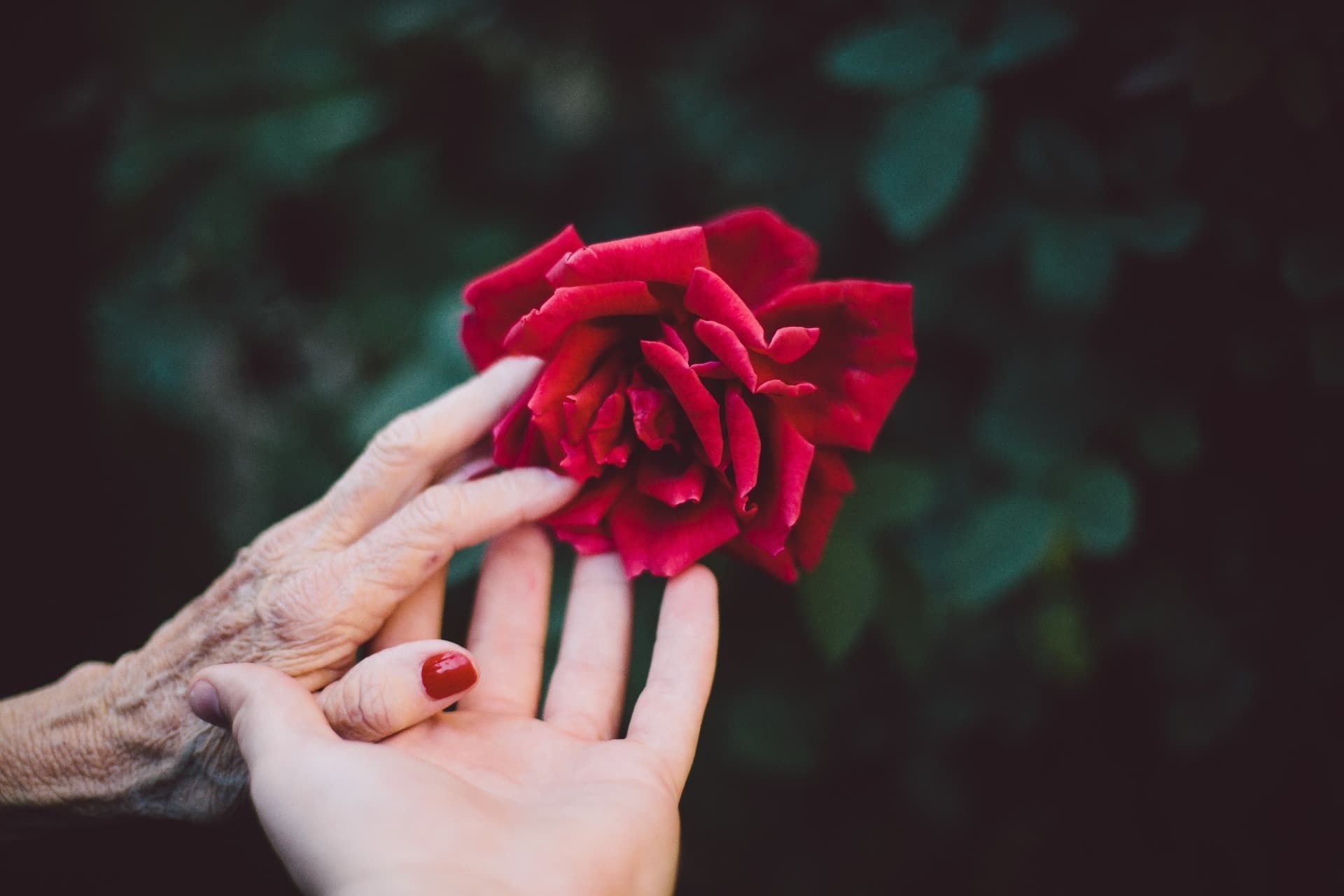 El pecado alcanza las generaciones