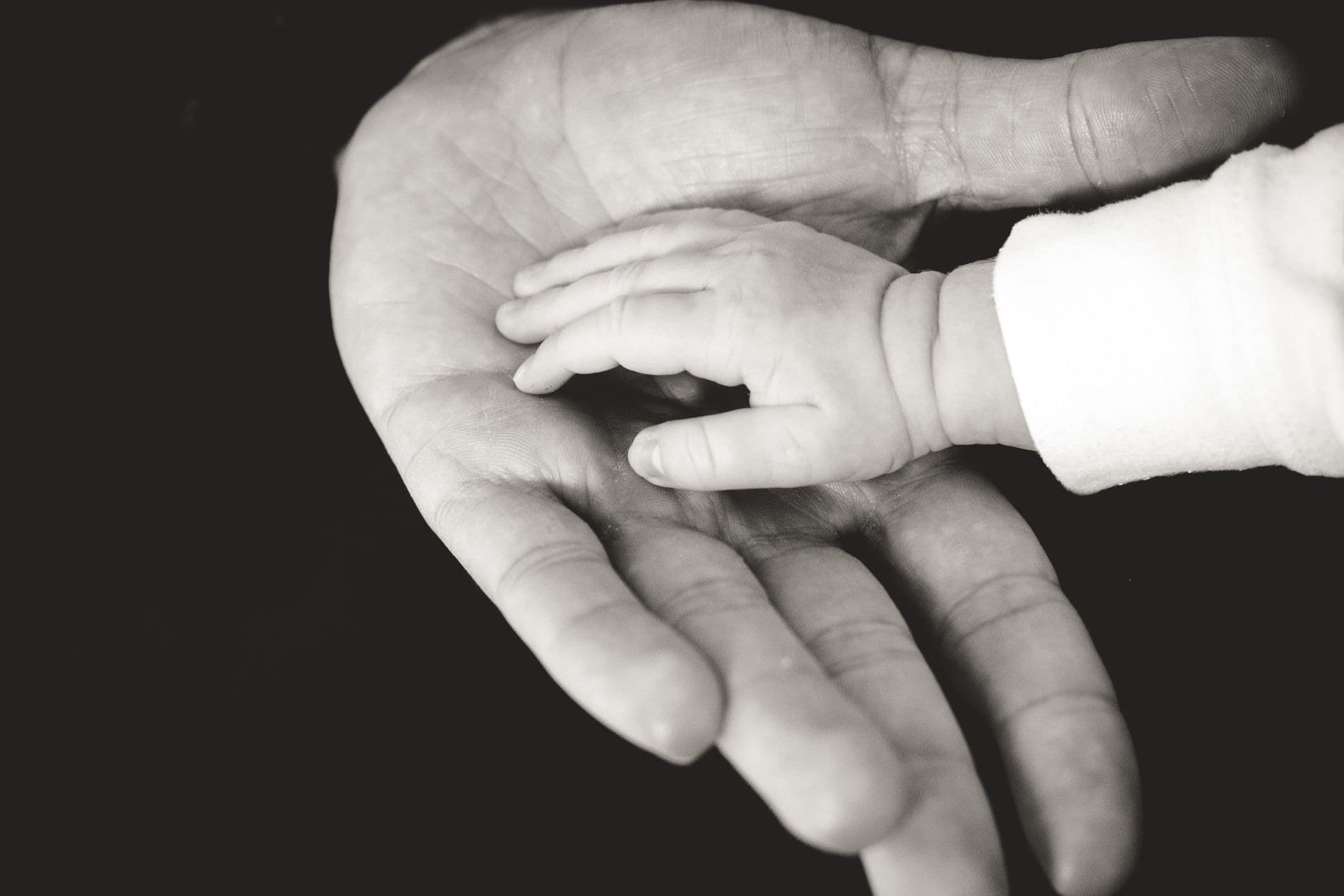 La herencia es para los hijos