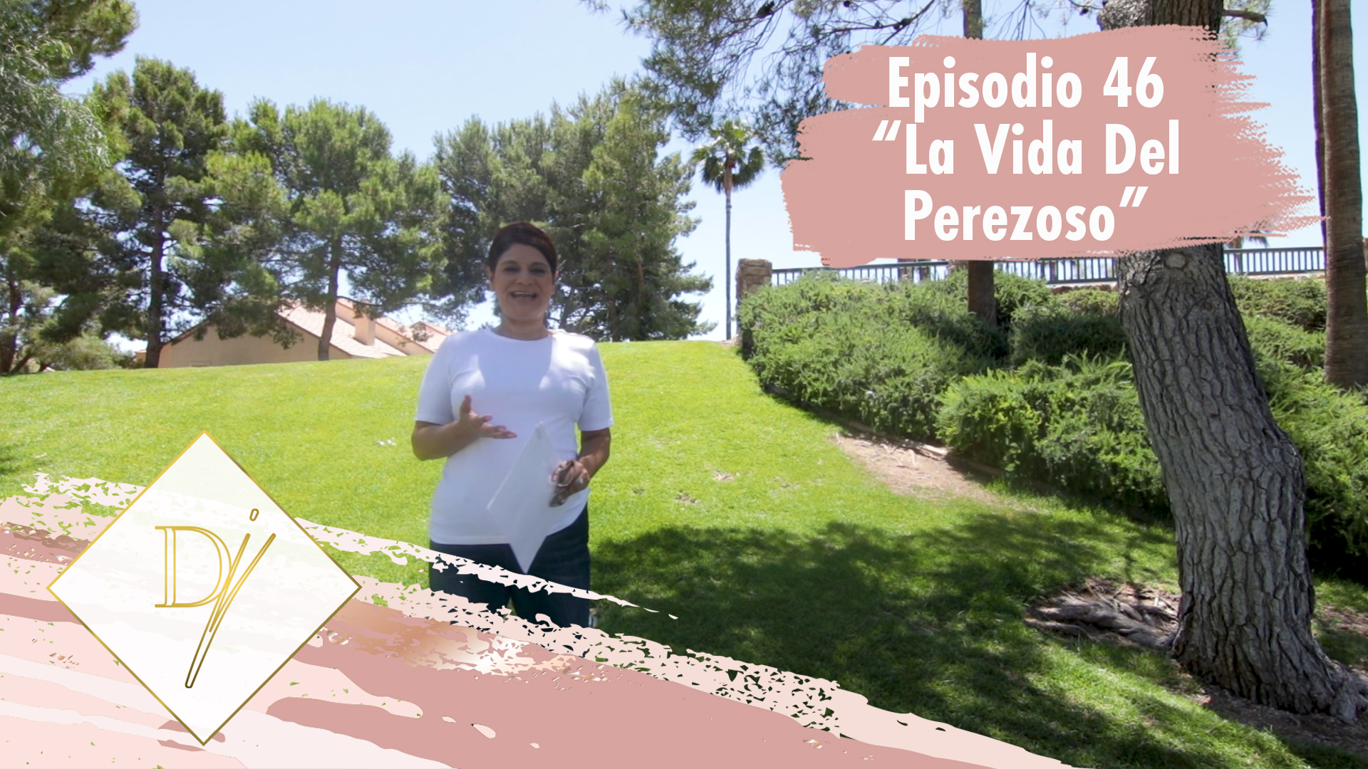 46 – La vida del perezoso