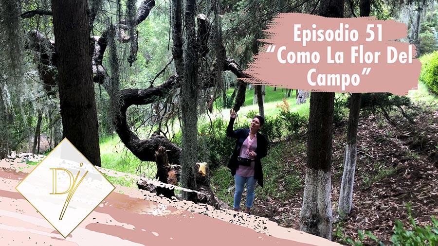 051: Como la flor del campo