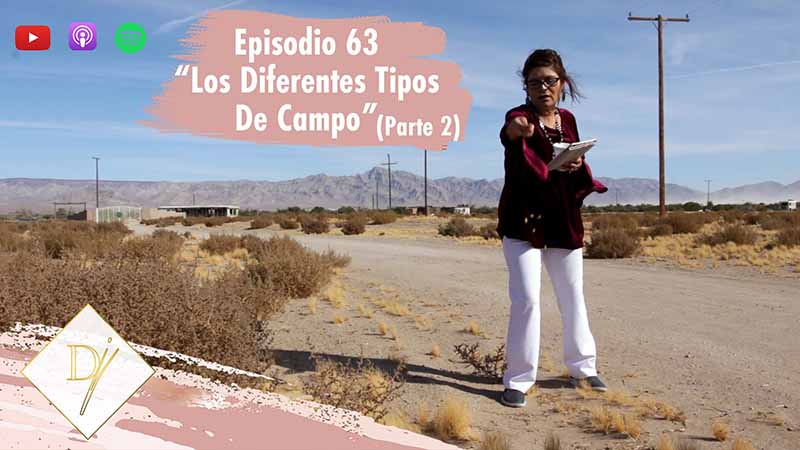 63: Los diferentes tipos de campo II