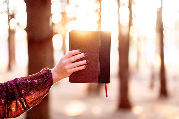 Las promesas de Dios hay que creerlas